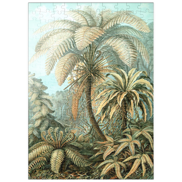 Darstellung des Puzzle Motivs puzzleplate Fern (Filicinae) - Art Forms in Nature, Vintage Art Poster, Ernst Haeckel 200 Puzzle