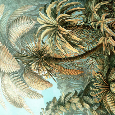 Darstellung des Puzzle Motivs Fern (Filicinae) - Art Forms in Nature, Vintage Art Poster, Ernst Haeckel 200 Puzzle 3D Modell