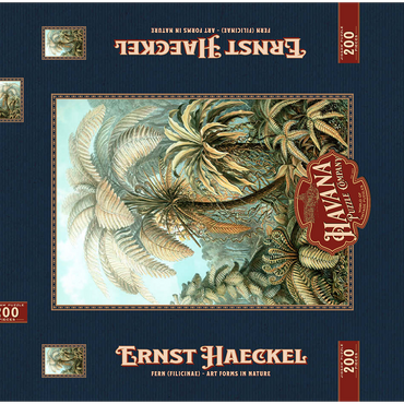 Darstellung des Puzzle Motivs Fern (Filicinae) - Art Forms in Nature, Vintage Art Poster, Ernst Haeckel 200 Puzzle Schachtel 3D Modell