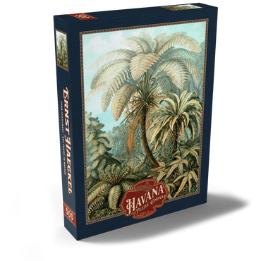Darstellung des Puzzle Motivs Fern (Filicinae) - Art Forms in Nature, Vintage Art Poster, Ernst Haeckel 500 Puzzle Schachtel Ansicht2