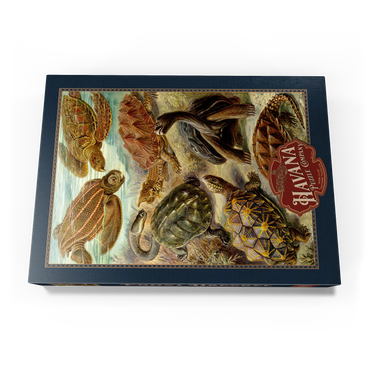Darstellung des Puzzle Motivs Turtle (Chelonia) - Art Forms in Nature, Vintage Art Poster, Ernst Haeckel 1000 Puzzle Schachtel Ansicht3