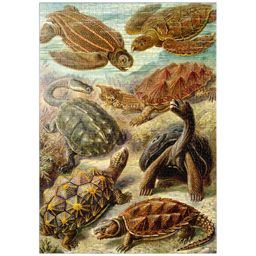 Darstellung des Puzzle Motivs puzzleplate Turtle (Chelonia) - Art Forms in Nature, Vintage Art Poster, Ernst Haeckel 1000 Puzzle