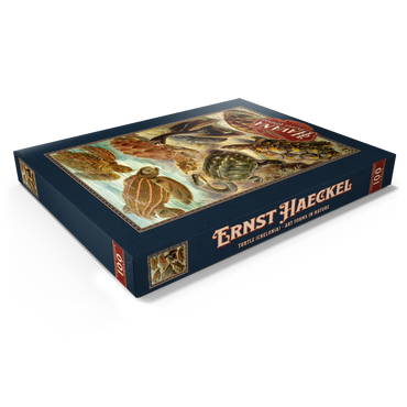 Darstellung des Puzzle Motivs Turtle (Chelonia) - Art Forms in Nature, Vintage Art Poster, Ernst Haeckel 100 Puzzle Schachtel Ansicht1