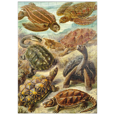 Darstellung des Puzzle Motivs puzzleplate Turtle (Chelonia) - Art Forms in Nature, Vintage Art Poster, Ernst Haeckel 100 Puzzle