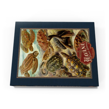 Darstellung des Puzzle Motivs Turtle (Chelonia) - Art Forms in Nature, Vintage Art Poster, Ernst Haeckel 200 Puzzle Schachtel Ansicht3