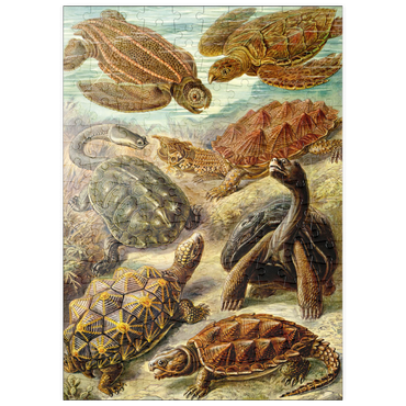 Darstellung des Puzzle Motivs puzzleplate Turtle (Chelonia) - Art Forms in Nature, Vintage Art Poster, Ernst Haeckel 200 Puzzle