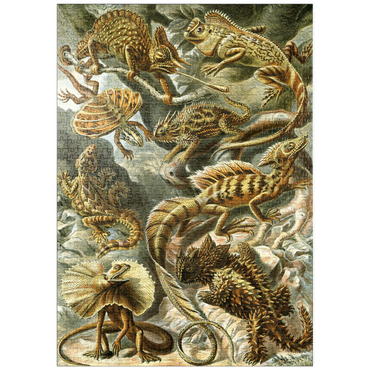 Darstellung des Puzzle Motivs puzzleplate Lizard (Lacertilia) - Art Forms in Nature, Vintage Art Poster, Ernst Haeckel 1000 Puzzle
