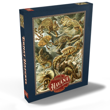 Darstellung des Puzzle Motivs Lizard (Lacertilia) - Art Forms in Nature, Vintage Art Poster, Ernst Haeckel 100 Puzzle Schachtel Ansicht2