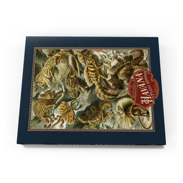Darstellung des Puzzle Motivs Lizard (Lacertilia) - Art Forms in Nature, Vintage Art Poster, Ernst Haeckel 100 Puzzle Schachtel Ansicht3