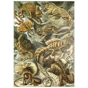 Darstellung des Puzzle Motivs puzzleplate Lizard (Lacertilia) - Art Forms in Nature, Vintage Art Poster, Ernst Haeckel 100 Puzzle