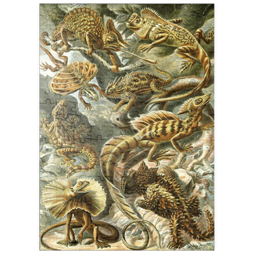 Darstellung des Puzzle Motivs puzzleplate Lizard (Lacertilia) - Art Forms in Nature, Vintage Art Poster, Ernst Haeckel 200 Puzzle