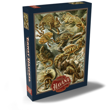 Darstellung des Puzzle Motivs Lizard (Lacertilia) - Art Forms in Nature, Vintage Art Poster, Ernst Haeckel 500 Puzzle Schachtel Ansicht2