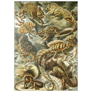 Darstellung des Puzzle Motivs puzzleplate Lizard (Lacertilia) - Art Forms in Nature, Vintage Art Poster, Ernst Haeckel 500 Puzzle