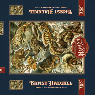 Darstellung des Puzzle Motivs Lizard (Lacertilia) - Art Forms in Nature, Vintage Art Poster, Ernst Haeckel 500 Puzzle Schachtel 3D Modell