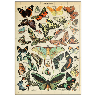 Darstellung des Puzzle Motivs puzzleplate Papillons - Butterflies For All, Vintage Art Poster, Adolphe Millot 100 Puzzle