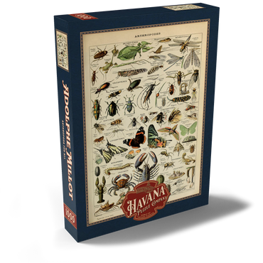 Darstellung des Puzzle Motivs Arthropoda For All, Vintage Art Poster, Adolphe Millot 1000 Puzzle Schachtel Ansicht2