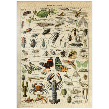 Darstellung des Puzzle Motivs puzzleplate Arthropoda For All, Vintage Art Poster, Adolphe Millot 1000 Puzzle