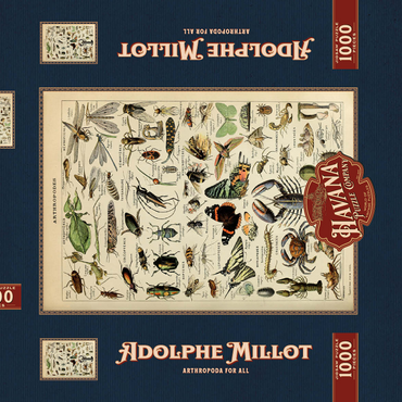 Darstellung des Puzzle Motivs Arthropoda For All, Vintage Art Poster, Adolphe Millot 1000 Puzzle Schachtel 3D Modell