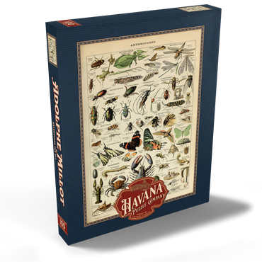 Darstellung des Puzzle Motivs Arthropoda For All, Vintage Art Poster, Adolphe Millot 100 Puzzle Schachtel Ansicht2