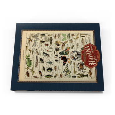 Darstellung des Puzzle Motivs Arthropoda For All, Vintage Art Poster, Adolphe Millot 100 Puzzle Schachtel Ansicht3