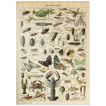 Darstellung des Puzzle Motivs puzzleplate Arthropoda For All, Vintage Art Poster, Adolphe Millot 200 Puzzle