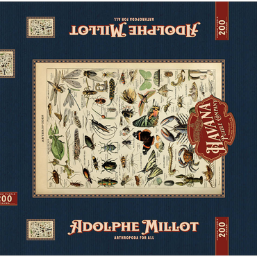 Darstellung des Puzzle Motivs Arthropoda For All, Vintage Art Poster, Adolphe Millot 200 Puzzle Schachtel 3D Modell