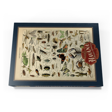 Darstellung des Puzzle Motivs Arthropoda For All, Vintage Art Poster, Adolphe Millot 500 Puzzle Schachtel Ansicht3