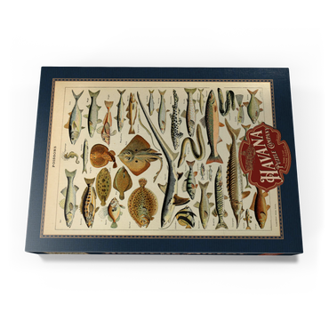 Darstellung des Puzzle Motivs Fish For All, Vintage Art Poster, Adolphe Millot 1000 Puzzle Schachtel Ansicht3