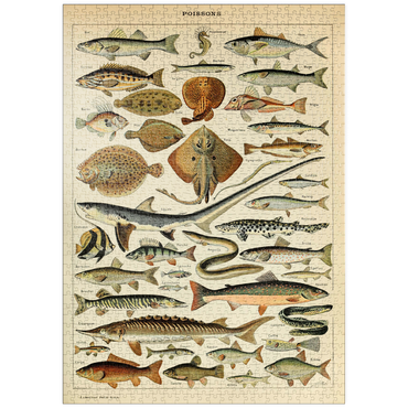 Darstellung des Puzzle Motivs puzzleplate Fish For All, Vintage Art Poster, Adolphe Millot 1000 Puzzle