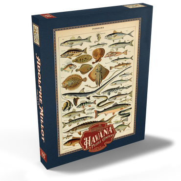 Darstellung des Puzzle Motivs Fish For All, Vintage Art Poster, Adolphe Millot 100 Puzzle Schachtel Ansicht2