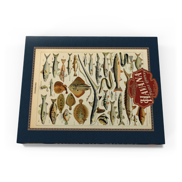 Darstellung des Puzzle Motivs Fish For All, Vintage Art Poster, Adolphe Millot 100 Puzzle Schachtel Ansicht3