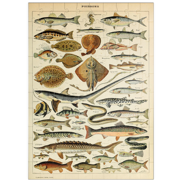Darstellung des Puzzle Motivs puzzleplate Fish For All, Vintage Art Poster, Adolphe Millot 100 Puzzle