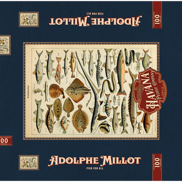 Darstellung des Puzzle Motivs Fish For All, Vintage Art Poster, Adolphe Millot 100 Puzzle Schachtel 3D Modell