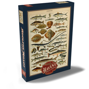Darstellung des Puzzle Motivs Fish For All, Vintage Art Poster, Adolphe Millot 500 Puzzle Schachtel Ansicht2