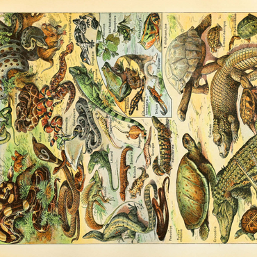 Darstellung des Puzzle Motivs Reptiles For All, Vintage Art Poster, Adolphe Millot 1000 Puzzle 3D Modell