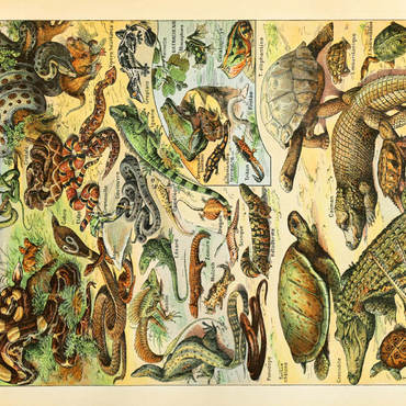Darstellung des Puzzle Motivs Reptiles For All, Vintage Art Poster, Adolphe Millot 200 Puzzle 3D Modell