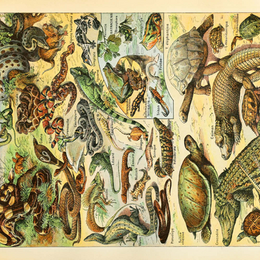 Darstellung des Puzzle Motivs Reptiles For All, Vintage Art Poster, Adolphe Millot 500 Puzzle 3D Modell
