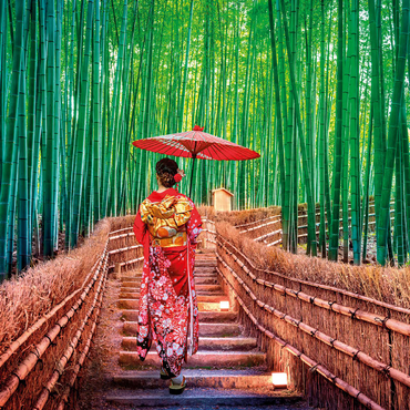 Darstellung des Puzzle Motivs Frau im traditionellen Kimono im Bambuswald bei Kyoto, Japan 200 Puzzle 3D Modell