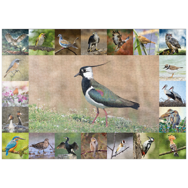 Darstellung des Puzzle Motivs puzzleplate Vögel des Jahres - Collage Nr.9 - Hauptmotiv: Kiebitz 1000 Puzzle
