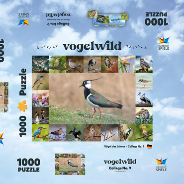 Darstellung des Puzzle Motivs Vögel des Jahres - Collage Nr.9 - Hauptmotiv: Kiebitz 1000 Puzzle Schachtel 3D Modell