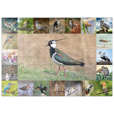 Darstellung des Puzzle Motivs puzzleplate Vögel des Jahres - Collage Nr.9 - Hauptmotiv: Kiebitz 100 Puzzle