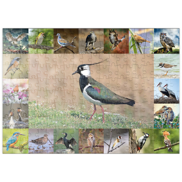 Darstellung des Puzzle Motivs puzzleplate Vögel des Jahres - Collage Nr.9 - Hauptmotiv: Kiebitz 200 Puzzle