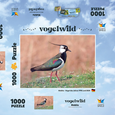Darstellung des Puzzle Motivs Kiebitz - Vogel des Jahres 2024 1000 Puzzle Schachtel 3D Modell