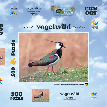 Darstellung des Puzzle Motivs Kiebitz - Vogel des Jahres 2024 500 Puzzle Schachtel 3D Modell