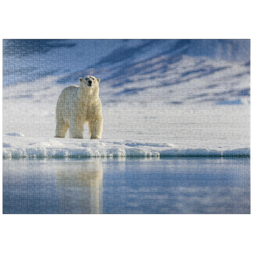 Darstellung des Puzzle Motivs puzzleplate Bedrohte Tierarten: Eisbär in Spitzbergen - Norwegen 1000 Puzzle