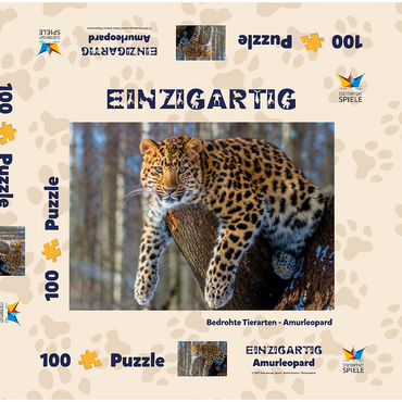 Darstellung des Puzzle Motivs Bedrohte Tierarten: Amur-Leopard 100 Puzzle Schachtel 3D Modell