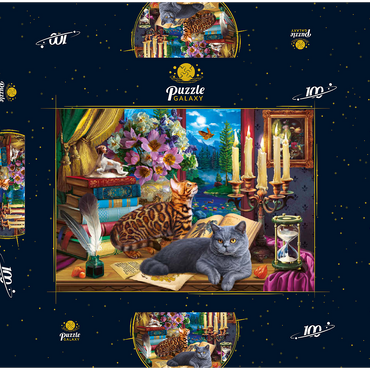 Darstellung des Puzzle Motivs Cats Near the Window at Night 100 Puzzle Schachtel 3D Modell