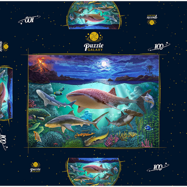 Darstellung des Puzzle Motivs Sharks 100 Puzzle Schachtel 3D Modell