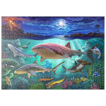 Darstellung des Puzzle Motivs puzzleplate Sharks 500 Puzzle