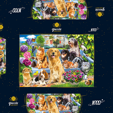 Darstellung des Puzzle Motivs Pets 1000 Puzzle Schachtel 3D Modell